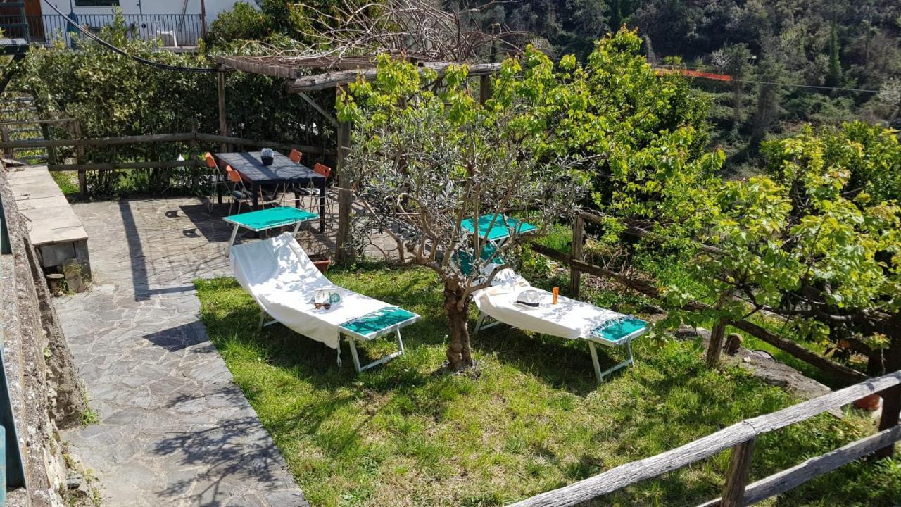 Casa Michelle 