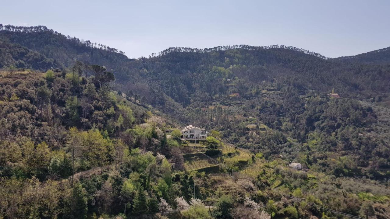 Casa Michelle 