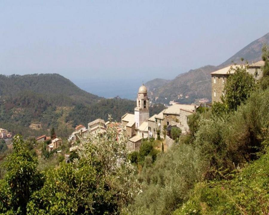 Casa Michelle 